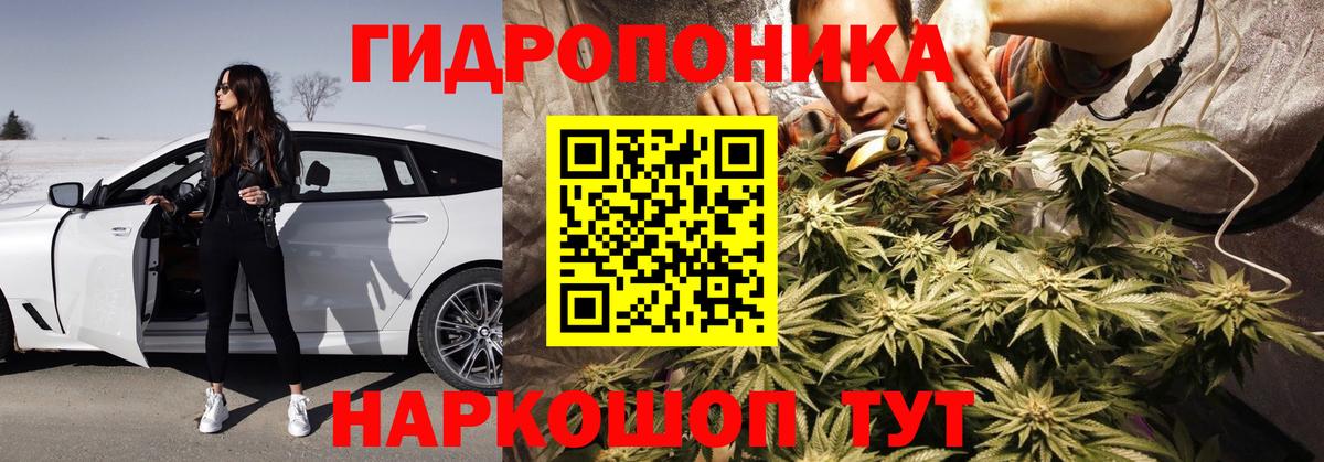 Марихуана семена  Бошки Шишки Ganja  Вход с VPN  Сегежа  Канабис VHQ 